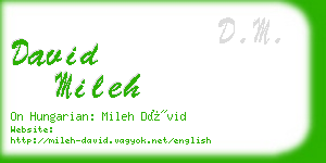 david mileh business card